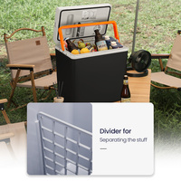Nevera de coche para acampar al aire libre, Enfriador de hielo de 20 litros, caja calentadora, mesa, 12V, Semiconductor