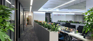 SSD BLACK SN8100 - 1TB, con Disipador de Calor, WDS100T1XHM - Product Image 4