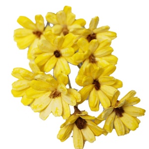 Fabricants de fleurs séchées vente en gros de graines de melon de coquille de fruit bouquet fait à la main arrangement de fleurs douces - Product Image 6