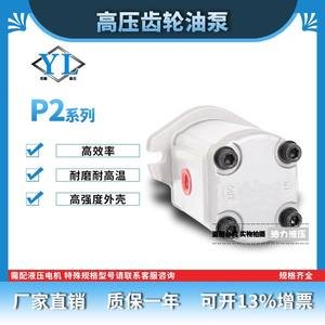 ปั๊มเกียร์ลูกสูบแรงดันสูงรุ่นใหม่ ซีรีส์ P204 206 208 211 214 216 219 222 225 233; ปั๊มน้ำมันไฮดรอลิก - Product Image 3