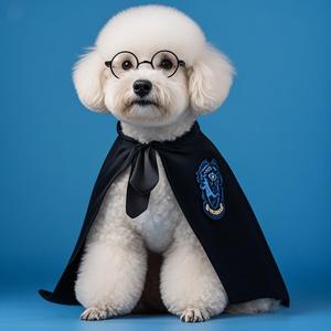 Pour <span class=keywords><strong>Harry</strong></span> <span class=keywords><strong>Potter</strong></span> inspiré cape pour animaux de compagnie pour chats chiens hiver Design à la mode motif solide moderne transfrontalier Halloween Costume tissu - Product Image 2