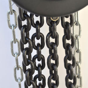 Kualitas tinggi 1/2/3/5 Ton Chain Block <span class=keywords><strong>Hoist</strong></span> Harga Bersaing dari pemasok Cina - Product Image 4