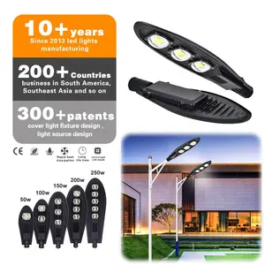 Açık led sokak lambası 60w soğuk beyaz 100W 150W 200w 250w cob led sokak lambası yol parkı bahçe için