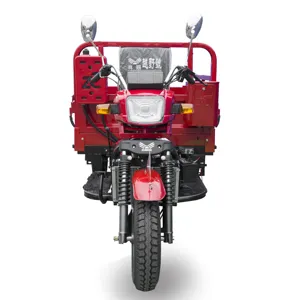 200cc Motorized Cargo Tricycle Heavy Loading Trike Three Wheel Motorcycle Made in China Longxin Power Engine