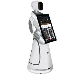 Smart Technology Advanced Humanoid Intelligent Robots