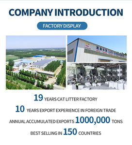 Campioni gratuiti animali domestici in scatola ad alto contenuto proteico vari gusti <span class=keywords><strong>cibo</strong></span> <span class=keywords><strong>umido</strong></span> <span class=keywords><strong>per</strong></span> <span class=keywords><strong>gatti</strong></span> - Product Image 3