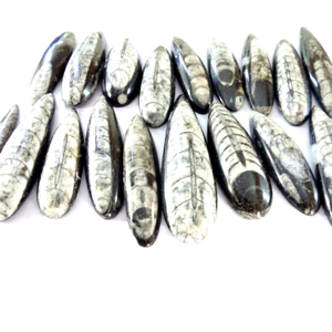 พลอยจิตวิญญาณโชคดีปกป้องจากโรค Orthoceras หลวม Cabochon อัญมณีทางศาสนา - Product Image 1