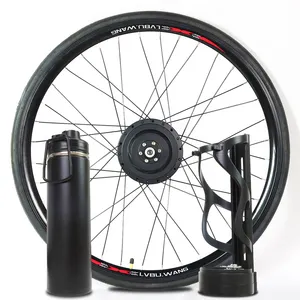 Professional supplier 20 inch ebike conversion kit with optional lithium bottle battery front/rear drive for city cycle