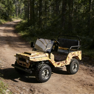 Mini UTV de Fábrica de 125cc, 3 Velocidades con Reversa, 2 Plazas, 2WD, Certificado para Niños y Adultos, Motor de 4 Tiempos, Transmisión Eléctrica - Product Image 1