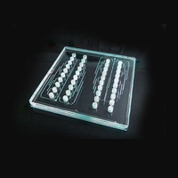 Peralatan Industri Khusus Chip Mikrofluida PCR Digital untuk Deteksi Asam Nukleat Skrining Obat PMMA/PC/Kaca