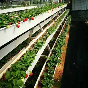 2020 NEW DESIGN Hydroponic Agriculture Media Grow Equipment Pvc Strawberry Gutter With Drain Board Greenhouse Farming