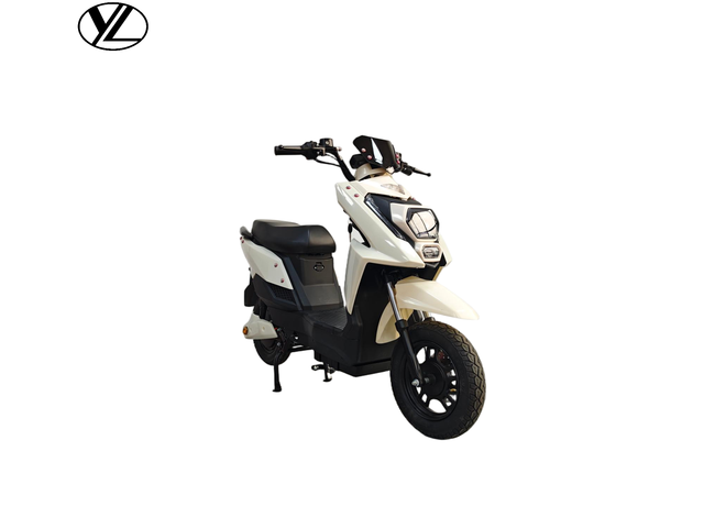 2026 Classic Touring Motorcycles Lithium Battery 2000W Brushless Motor High Quality Low Price Hot Sales