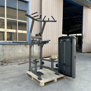 Machine professionnelle de musculation commerciale à charges sélectionnables pour dips et tractions assistées, équipement multifonctionnel en acier avec pile de poids de 80 kg - Product Image 1