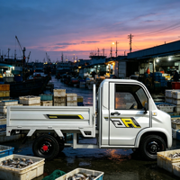 Camionnette électrique 4 roues à benne basculante, moteur 2000W, autonomie 100km, idéale pour le transport de passagers et de marchandises sur de courtes distances - Vente Flash