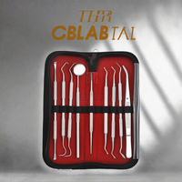 Ensemble de 9 instruments d'hygiène bucco-dentaire manuels en acier inoxydable, étui, outils de nettoyage des dents et des gencives, éliminateur de tartre, de calcul et de plaque dentaire