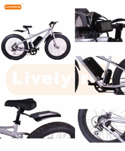 26 inch 1000 W high power brushless motor Gearless electric mountain <span class=keywords><strong>bike</strong></span> with CE - Product Image 4
