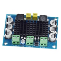 FYX Stock XH-M543 TPA3116D2 TPA 3116 D2 Carte d'amplificateur audio numérique mono canal 100W DC 12V 24V Grande capacité