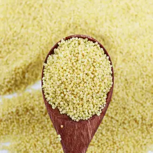 Hulled Millet Ukraina Max gaya emas warna ukuran asli produk proses budidaya kering dari Thailand