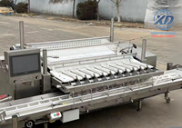 High-Output Weeg-En Verpakkingsmachine Voor De Sorteermachine Van Bosbessenkersen Tomaat Voor Fruitproducenten