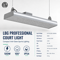 Lumière de terrain de sport LED LBG 150W anti-éblouissement avec grille en nid d'abeille, CCT personnalisé, CRI 70 80, IP54 pour terrain de pickleball, badminton, tennis