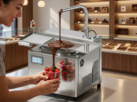 LST Noël 5L Promotion Distributeur de Chocolat Chaud de Table Professionnel, Machine à Faire Fondre et à Tempérer le Chocolat