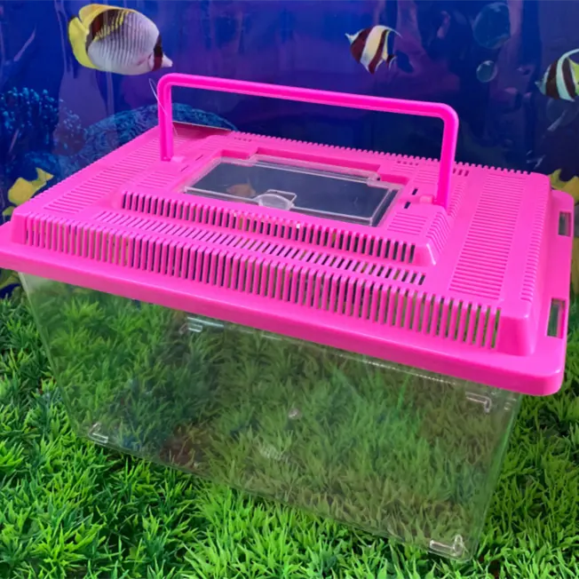 Goedkope Kleine Vis Tank Draagbare Kleine Horloge Kartonnen Rechthoek Aquaria & Accessoires Te Koop Draagbare Clear Plastic Mooie Vis