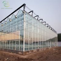 Serre verte personnalisée équipement feuille de verre agricole serre avec système de culture de tomates grand verre hydroponique en verre
