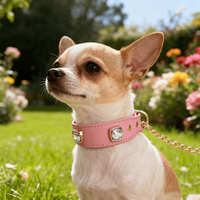 Vente de gros Collier Martingale en acier inoxydable avec pierres précieuses et strass personnalisé Collier de luxe pour chien en cuir végan multicolore
