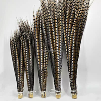 Plumas de queue de faisan longs Reeves Plumes de queue de faisan naturelles pour carnaval Chapeaux de samba Costumes de danse en stock