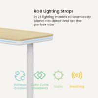Table de bureau électrique ergonomique réglable en hauteur S18-22D-BL RGB Smart Sit Stand Lift Table avec un seul moteur et tiroir pour configuration de jeu à domicile