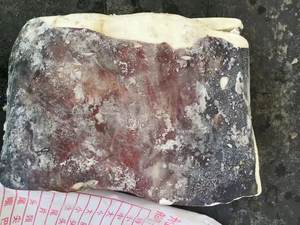 Calmar <span class=keywords><strong>géant</strong></span> péruvien rond entier, de qualité promotionnelle, <span class=keywords><strong>prix</strong></span> de gros de fruits de mer, importé, calmar, Dosdicus, Gigas - Product Image 6