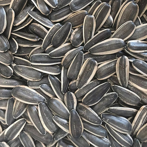 Graines <span class=keywords><strong>de</strong></span> <span class=keywords><strong>tournesol</strong></span> Graines <span class=keywords><strong>de</strong></span> melon délicieuses pour le grignotage et le jardinage - Product Image 1