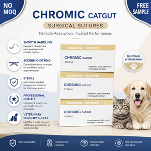 Suturas <span class=keywords><strong>de</strong></span> Catgut Crómico Veterinario <span class=keywords><strong>de</strong></span> Alta Calidad, Hilo Quirúrgico Absorbible Estéril para Mascotas - Product Image 4