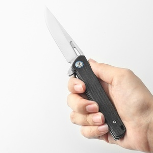 Nuovo arrivo professionale D2 campeggio sopravvivenza EDC coltello pieghevole all'aperto coltello tascabile - Product Image 1