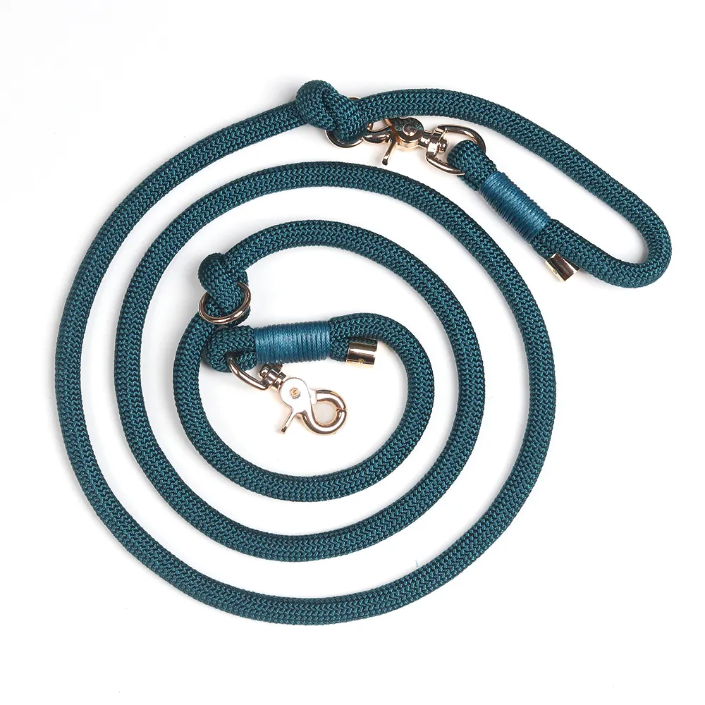Individuelle Hunde-Schleife Hunde-Trainingshalsband und -Leinenset für Hunde Welpen-Leinband und -Halsband