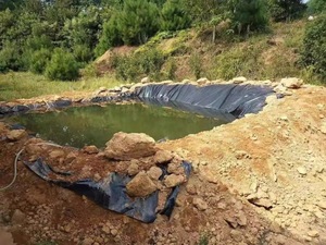 Géomembrane HDPE Barrière anti-racines de <span class=keywords><strong>bambou</strong></span> 1mm 2mm Revêtement de décharge lisse 1.5mm 1mm Coût de revêtement Malaisie - Product Image 1