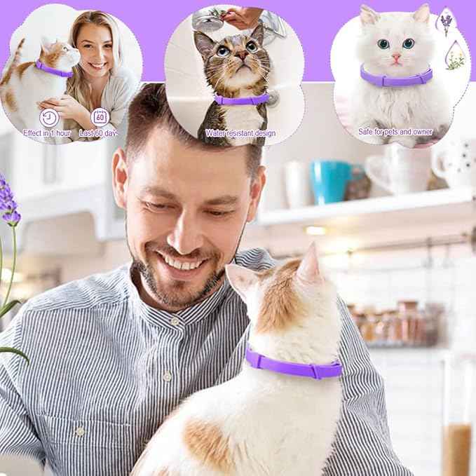 Picture of Cute Cat Pet Anxiety Relieve Spinner Rings Kitten Animal Fidget Open ...