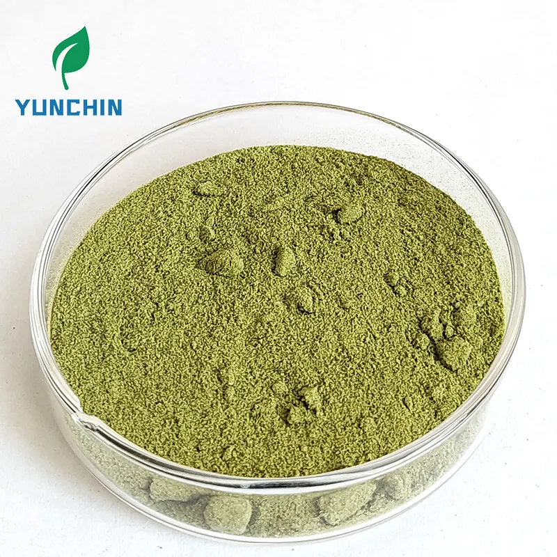 100% Natural Moringa Leaf Powder Food Grade Moringa Powder Suplemen Makanan