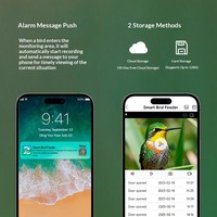 Accessoire pour animaux de compagnie, mangeoire à oiseaux intelligente avec caméra, mangeoire à oiseaux intelligente à énergie solaire avec identification des espèces par IA, surveillance vidéo