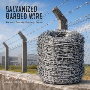 Rust Resistant Galvanized Barbed Wire for Private Land Border Protection, Strong Tensile Structure LandProtection <strong>GalvanizedWire</strong> - Product Image 2