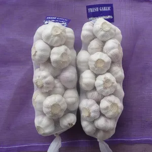 Fresh Ginger And Garlic Fresh In Bulk From Shandong Sinofarm Supplier