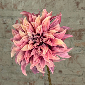 FONG IAN - Flores de Dalia Artificiales de Tacto Real de 62 cm, Flores de Seda Hechas a Mano, Flores Artificiales Realistas de una Sola Cabeza, Decoración para el Hogar - Product Image 2