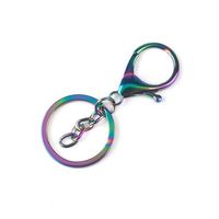 Porte-clés à fermoir mousqueton arc-en-ciel en vrac, accessoires, porte-clés en métal, fermoirs mousquetons, crochets, porte-clés en vrac, porte-clés fendus arc-en-ciel