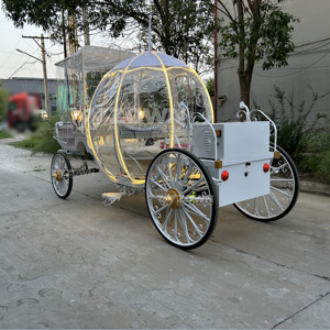Carrito con Toldo Transparente Iluminado e Impermeable para Decoración de Escenas Románticas Nocturnas al Aire Libre - Product Image 5