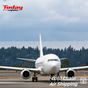 Professional <b>Air</b>+Express Cold Distribution Pharmaceutical Goods Fresh Grocery Full Set Logistics Support Mexico Colombia Chile - Product Image 1
