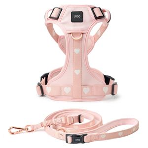 Correa de Nailon Resistente de 2 Piezas para Perros, Color Rosa, para <span class=keywords><strong>Beagle</strong></span>, Shiba Inu, Bulldog Francés, <span class=keywords><strong>Labrador</strong></span> Retriever - Product Image 1