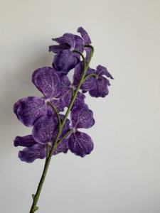 Vente flash, <span class=keywords><strong>orchidée</strong></span> de haute qualité, toucher réel, <span class=keywords><strong>orchidée</strong></span> <span class=keywords><strong>papillon</strong></span> pour décoration de mariage - Product Image 5