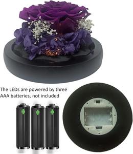 Hermoso regalo de boda Forever Rose Eternal Rosas preservadas en cúpula de cristal con Light <span class=keywords><strong>Eternity</strong></span> Rosas rojas en la cúpula de cristal - Product Image 3