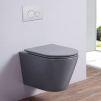 Cuvette de toilette moderne en céramique noire OEM/ODM ensemble sanitaire mural avec conception sans bords et télécommande pour les applications de villa
