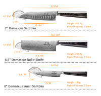 Couteau Santoku Japonais de 4,5 Pouces, Épaisseur 2,5 MM, Noyau VG-10, 67 Couches de Damas, Finition Miroir G10, OEM/ODM Luxe